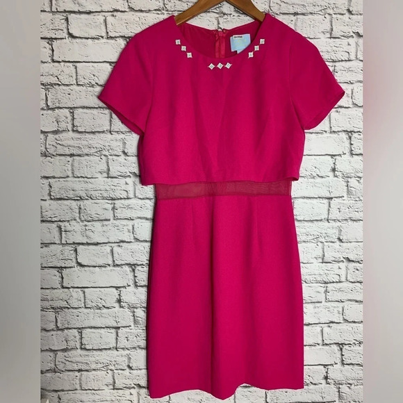 CeCe By  Cynthia Steffe Women’s Hot Pink Mesh Barbiecore Dress Size 2 Feminine - Picture 1 of 11